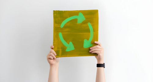 I Big Data come Motore della Rivoluzione Verde: Il Futuro della Produttivit� Sostenibile